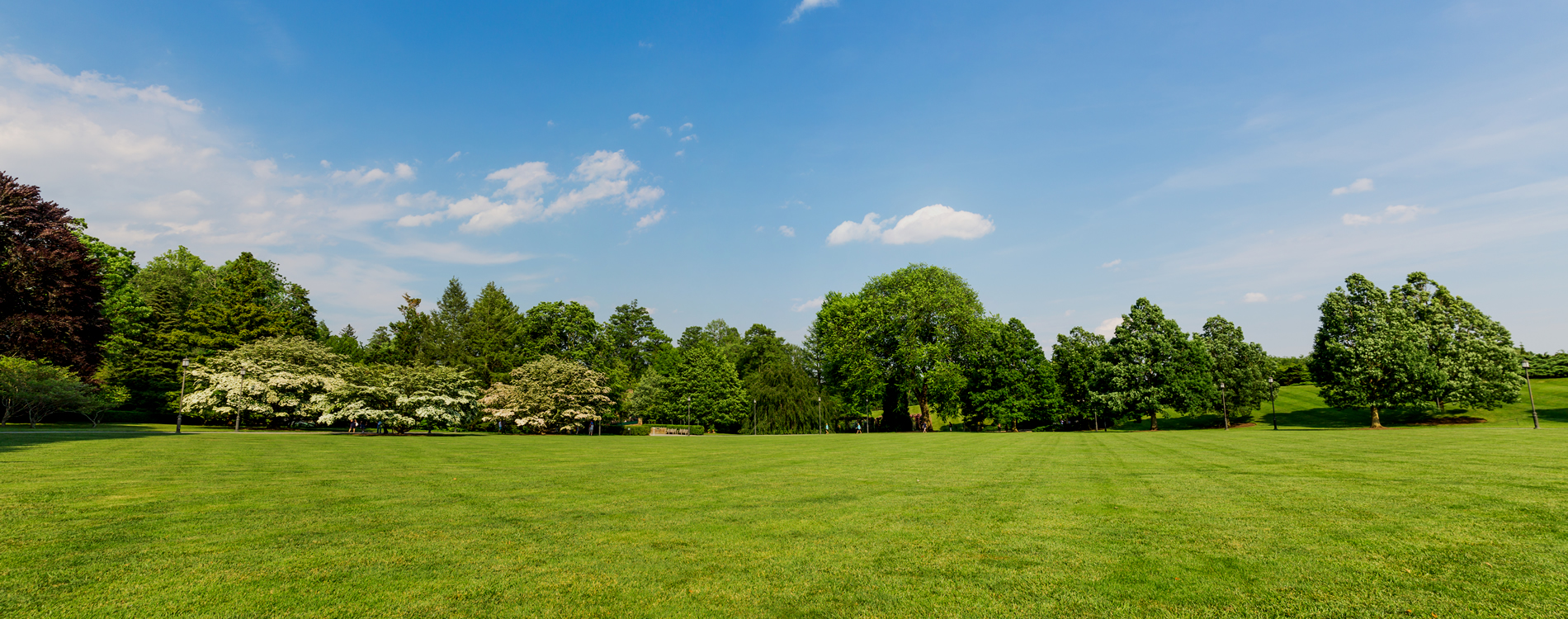 Apartments in Big Spring, Texas Heritage Heights at Big Spring (432