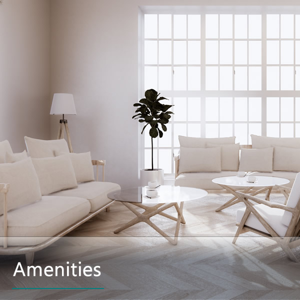 Features and Amenities